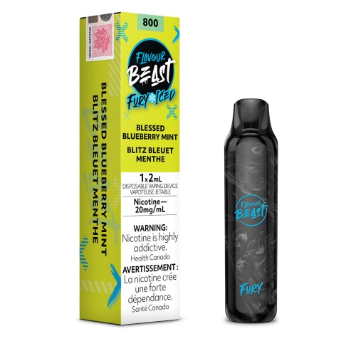 Blessed Blueberry Mint Iced Flavour Beast Fury Disposable Vape